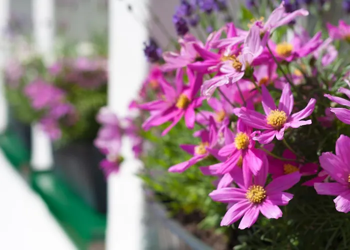 Altenbruecker Muehle 奥弗拉特